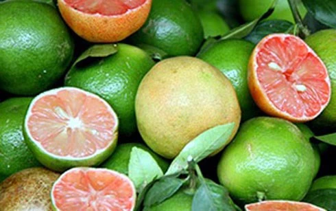 Lợi ích chữa bệnh và giảm cân của quả chanh đào