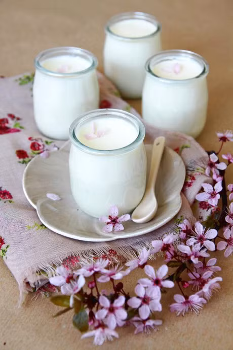 Cach lam sua chua dau nanh giup dep da va giam can hieu qua - Anh 1