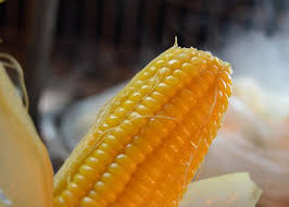 Những lý do khiến bạn phải ăn ngô luộc mỗi ngày ảnh 4 Tất cả những nguyên nhân khiến bạn phải ăn ngô luộc mỗi ngày