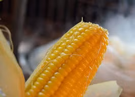 Tất cả những nguyên nhân khiến bạn phải ăn ngô luộc mỗi ngày