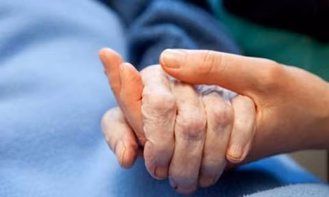 (ảnh minh họa: Internet)