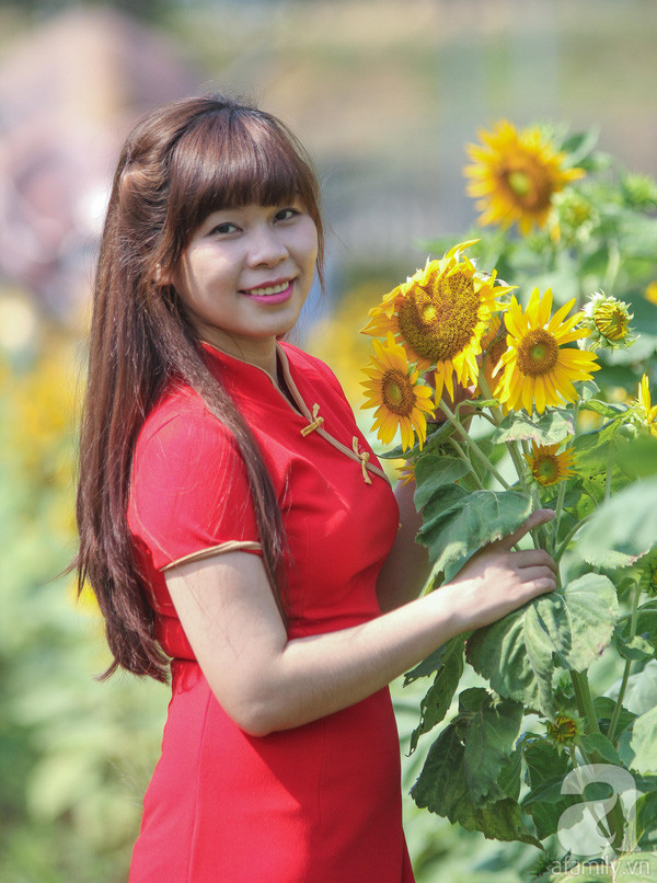 hoahuongduong18 hoahuongduong18