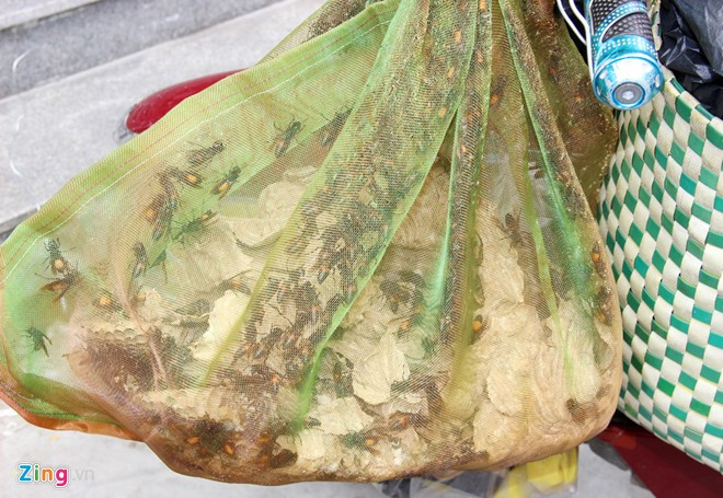 Cảnh ngâm rượu nghìn con ong dữ ở miền Tây
