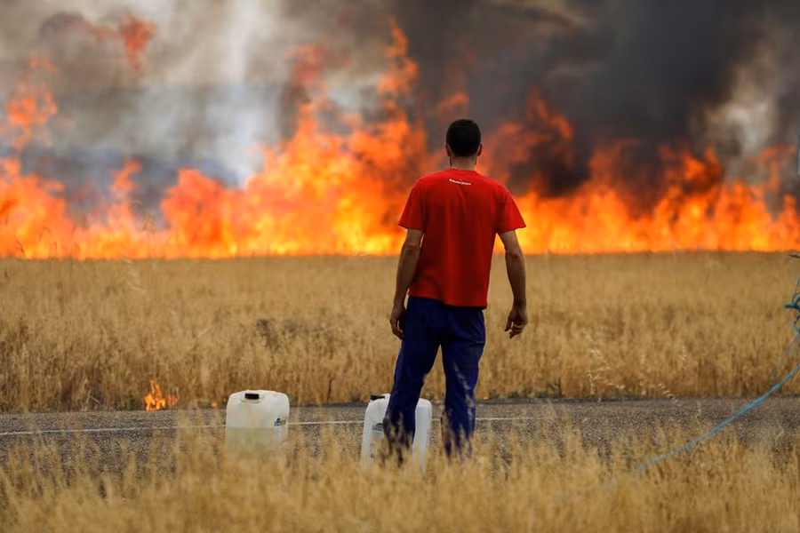 Một người chăn cừu nhìn ngọn lửa thiêu rụi cánh đồng lúa mì giữa Tabara và Losacio trong đợt nắng nóng thứ 2trong năm ở tỉnh Zamora, Tây Ban Nha, ngày 18/7/2022. (Ảnh: REUTERS/Isabel Infantes)