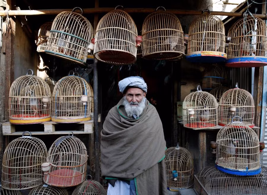 Tại một chợ chim ở Kabul, Afghanistan Tại một chợ chim ở Kabul, Afghanistan
