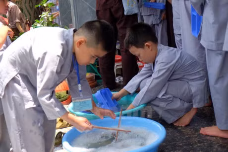 Xuc dong hinh anh le tri an cha me “Thom ngat hoa hieu hanh” - Anh 12