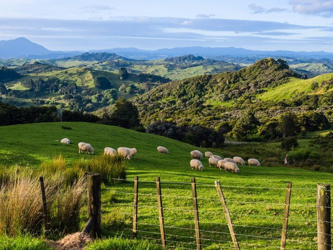 viet nam lot top nhung quoc gia phai den mot lan trong doi hinh 8