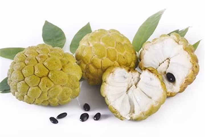 Quả na rất ngon nhưng nên cẩn thận khi cắn phải hạt sẽ có thể gây ngộ độc. Ảnh minh họa