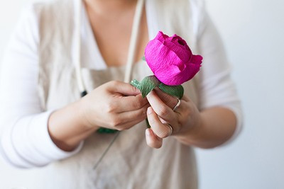 Làm hoa mẫu đơn giấy Làm hoa mẫu đơn giấy