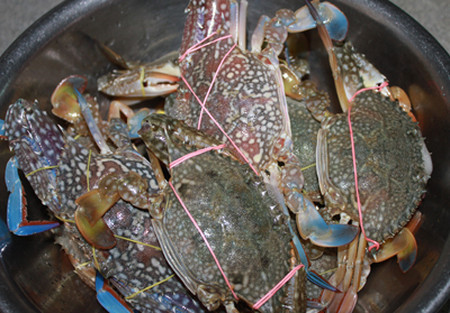 Cách chọn mua cua, ghẹ ngon, nhiều thịt - Ảnh 2 Cách chọn mua cua, ghẹ ngon, nhiều thịt - Ảnh 2