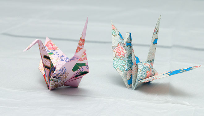 Hai trong số 4 con hạc giấy tự tay ông Obama gấp theo nghệ thuật xếp giấy origami. Ảnh: Asashi Shimbun