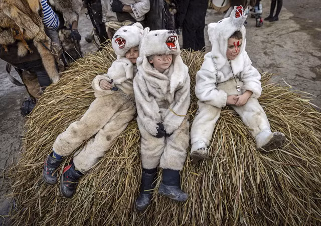 Các em nhỏ trong trang phục gấu tạo dáng chụp ảnh.