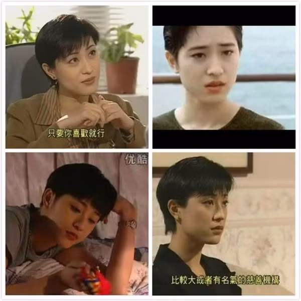 Trần Pháp Dung Năm 1989, Trần Pháp Dung giành giải Hoa hậu Hong Kong, thuận lợi bước chân vào làng giải trí. Với thành công của những bộ phim Mỹ vị thiên vương, Lệnh truy nã, Hồ sơ trinh sát III, Trần Đức Dung trở thành ngôi sao được người người ngưỡng mộ.