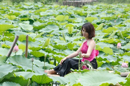 Ở các đầm sen còn có thêm dịch vụ cho thuê yếm đáo, váy đụp, áo dài và cả trang điểm, làm tóc để phục vụ phong trào chụp ảnh của chị em Hà Thành