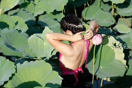 Chị em Hà Thành nô nức mặc yếm đào chụp ảnh sen Chi em Ha Thanh no nuc mac yem dao chup anh sen
