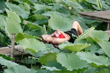 Chị em Hà Thành nô nức mặc yếm đào chụp ảnh sen Chi em Ha Thanh no nuc mac yem dao chup anh sen