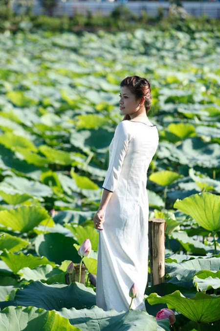 Chị em Hà Thành nô nức mặc yếm đào chụp ảnh sen Chi em Ha Thanh no nuc mac yem dao chup anh sen