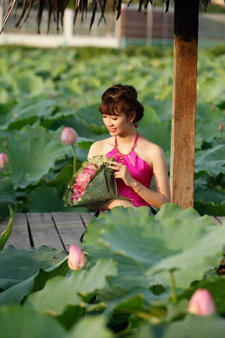 Chị em Hà Thành nô nức mặc yếm đào chụp ảnh sen Chi em Ha Thanh no nuc mac yem dao chup anh sen