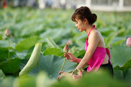Chị em Hà Thành nô nức mặc yếm đào chụp ảnh sen Chi em Ha Thanh no nuc mac yem dao chup anh sen