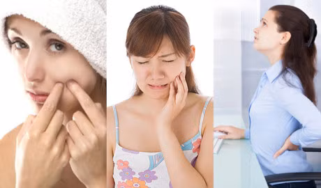 Loi ich suc khoe tu cay xuong rong gai goc - Anh 3