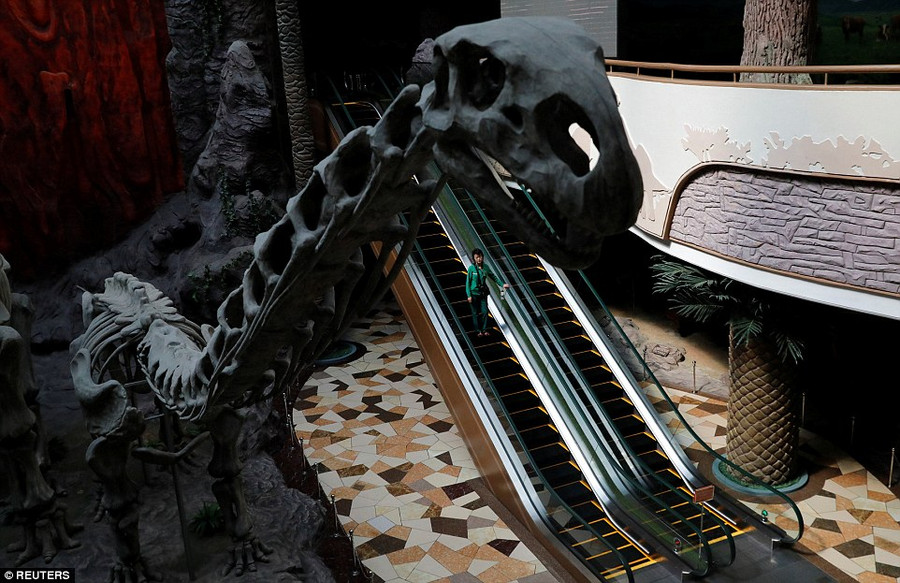 Mô hình xương khủng long tại viện bảo tàng