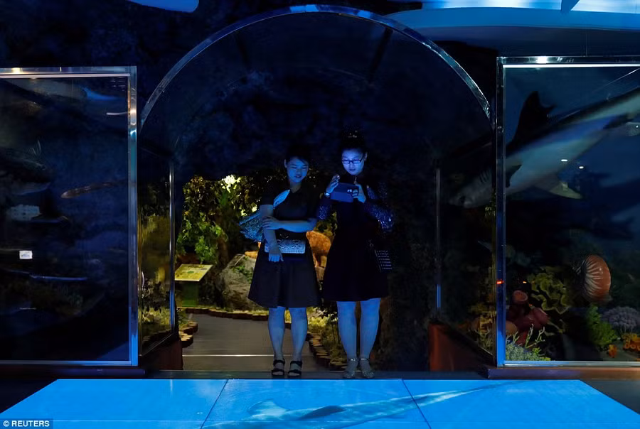 Khách tham quan viện bảo tàng