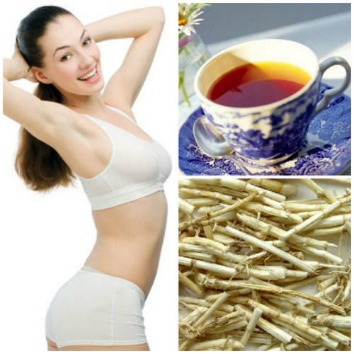 Mẹo hay: Tuyệt chiêu làm đẹp từ cây cỏ ảnh 1 Mẹo hay: Tuyệt chiêu làm đẹp từ cây cỏ - 2