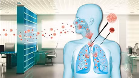 Omega-3 phong chong tac hai do o nhiem khong khi - Anh 1