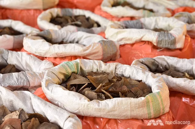 Đây là vụ thu giữ vảy tê tê lớn thứ 3 ở Singapore trong năm nay Đây là vụ thu giữ vảy tê tê lớn thứ 3 ở Singapore trong năm nay