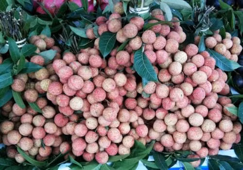 Các phong tục trong ngày Tết Đoan Ngọ của người Việt - Ảnh 2