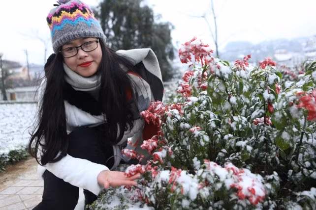 dao rung sa pa “ngam tuyet”, khoe sac trong cai lanh -6 do c hinh anh 14