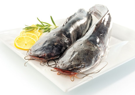Cá trê hầm đậu đen - nấu món này để giúp chồng bổ thận tráng dương - Ảnh 3 Ca tre ham dau den - nau mon nay de giup chong bo than trang duong - Anh 3