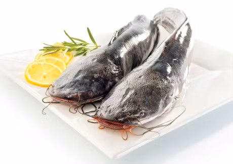 Ca tre ham dau den - nau mon nay de giup chong bo than trang duong - Anh 3