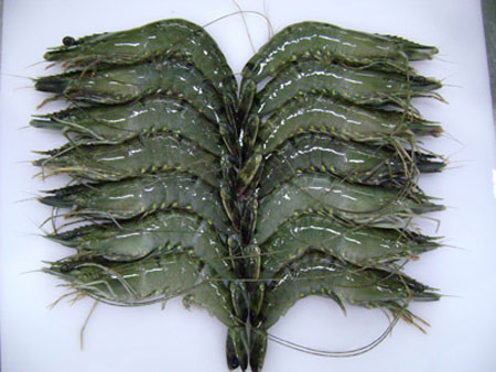 Tôm làm sạch, rút chỉ đen, cắt bớt phần râu dài rồi đem xóc đều với xíu muối. tom