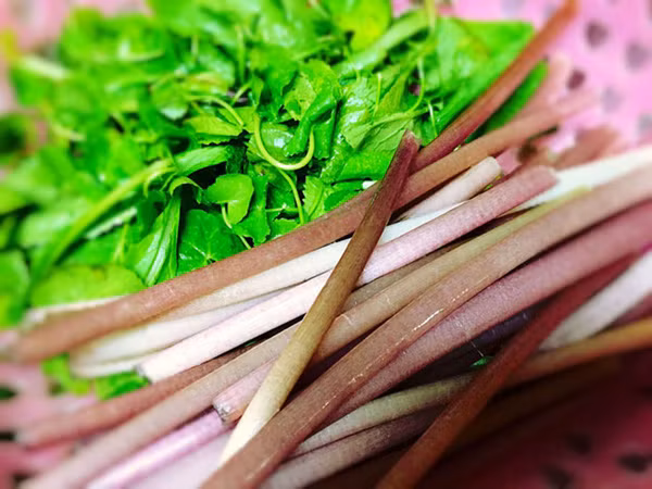 món ăn tuổi thơ