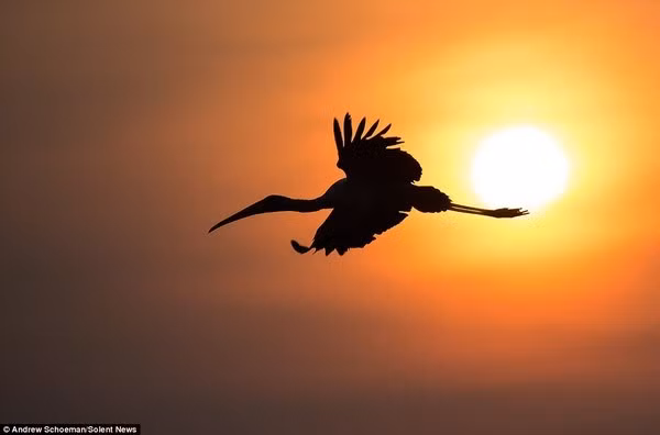 Có thể xác định phương hướng theo mặt trời. (ảnh minh họa)