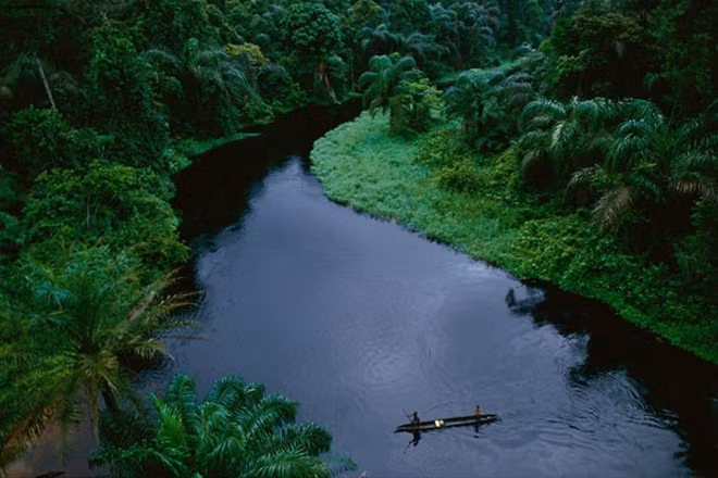 Sông có hệ sinh vật vô cùng độc đáo. Sông có hệ sinh vật vô cùng độc đáo.