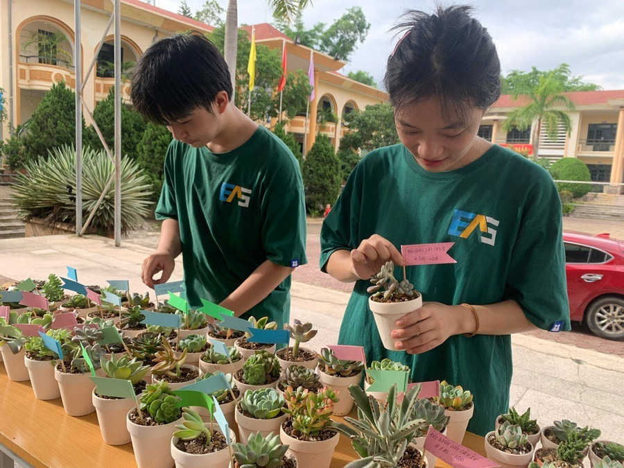 Đây là mùa thứ 4 CLB Môi trường và Cộng đồng trường THPT Chuyên Lê Quý Đôn tổ chức chương trình “Đổi giấy lấy cây”.