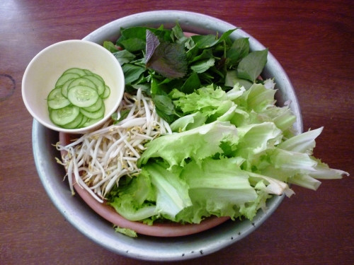 Ăn rau sống như thế nào để không rước bệnh vào thân? - Ảnh 1 Ăn rau sống như thế nào để không rước bệnh vào thân? - Ảnh 1