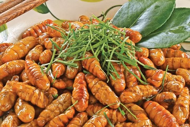 Cảnh báo an toàn sức khỏe cần tránh khi ăn nhộng tằm