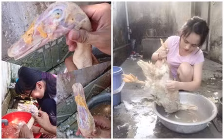 Ngay ngat voi nhung sieu pham nha bep cua cac co gai dam - Anh 2