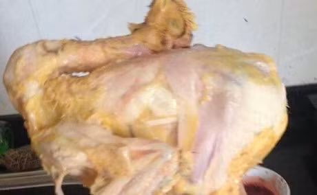 Ngay ngat voi nhung sieu pham nha bep cua cac co gai dam - Anh 3