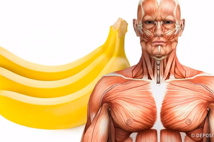 Tác dụng khi ăn hai quả chuối mỗi ngày