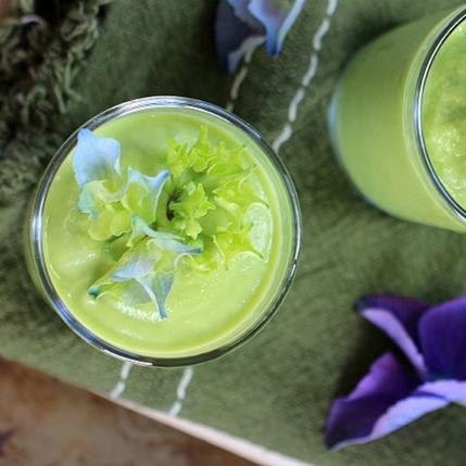 "Súp lạnh" dưa chuột, bơ: Món súp lạnh kiểu Tây Ban Nha giàu chất xơ, chưa chất béo không bão hòa đơn, có lợi cho sức khỏe. Ảnh: Eastewart. "Súp lạnh" dưa chuột, bơ: Món súp lạnh kiểu Tây Ban Nha giàu chất xơ, chưa chất béo không bão hòa đơn, có lợi cho sức khỏe. Ảnh: Eastewart.