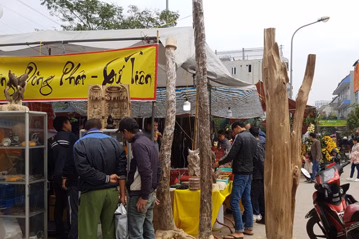 Khách chơi xuân nô nức hít hà loài cây quý như vàng