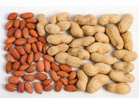 Nhung nguoi tuyet doi khong nen an cu lac - Anh 1