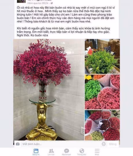 Dan mang canh bao hoa chat doc hai tu hoa sao kho dang tran ngap thi truong hoa Tet - Anh 2