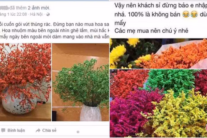 Dân mạng cảnh báo hóa chất độc hại từ hoa sao khô đang tràn ngập thị trường hoa Tết