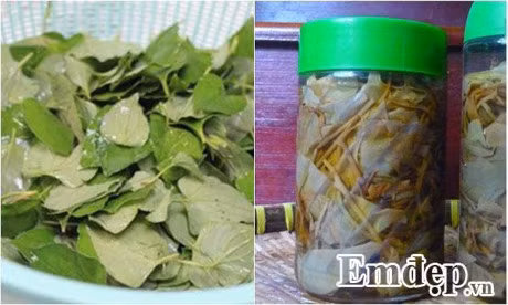 Da sang min nhu gai 18 nho loai nuoc than ky tu che tai nha - Anh 1