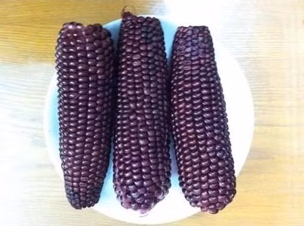 Ảnh minh họa: Internet